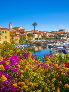 Preview wallpaper flowers, pier, yachts, houses