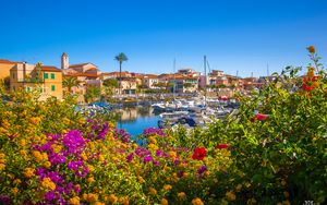 Preview wallpaper flowers, pier, yachts, houses