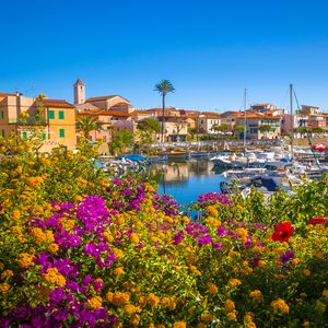 Preview wallpaper flowers, pier, yachts, houses