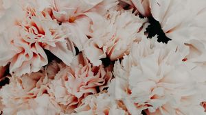 Preview wallpaper flowers, pink, bouquet, petals, closeup