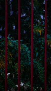 Preview wallpaper flowers, plants, garden, fence