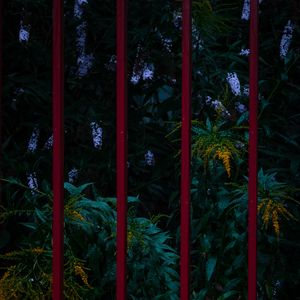 Preview wallpaper flowers, plants, garden, fence