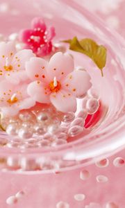 Preview wallpaper flowers, plate, candles, beautiful, beads