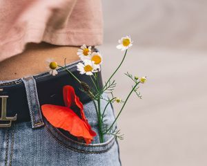 Preview wallpaper flowers, pocket, bouquet, belt