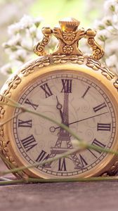 Preview wallpaper flowers, pocket watch, macro, small, white