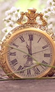 Preview wallpaper flowers, pocket watch, macro, small, white