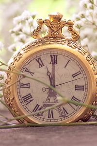 Preview wallpaper flowers, pocket watch, macro, small, white