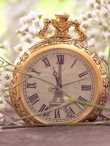 Preview wallpaper flowers, pocket watch, macro, small, white