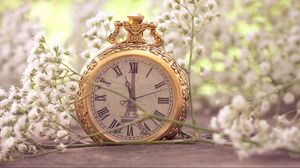 Preview wallpaper flowers, pocket watch, macro, small, white