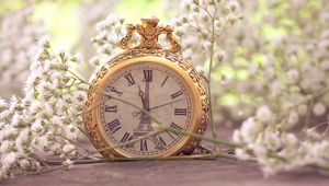 Preview wallpaper flowers, pocket watch, macro, small, white