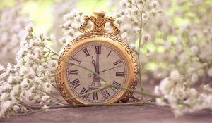 Preview wallpaper flowers, pocket watch, macro, small, white