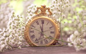 Preview wallpaper flowers, pocket watch, macro, small, white