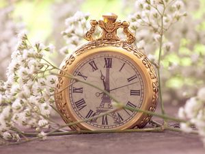 Preview wallpaper flowers, pocket watch, macro, small, white