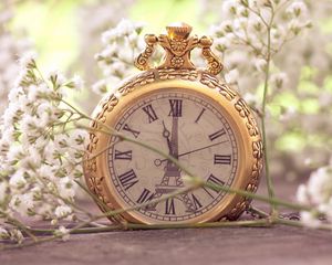 Preview wallpaper flowers, pocket watch, macro, small, white