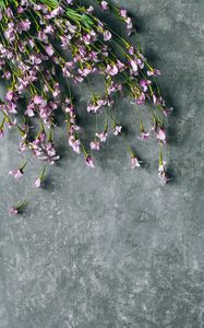 Preview wallpaper flowers, purple, bouquet, field