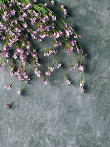 Preview wallpaper flowers, purple, bouquet, field