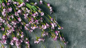 Preview wallpaper flowers, purple, bouquet, field