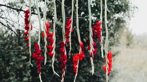 Preview wallpaper flowers, red, branch, tree, nature