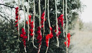 Preview wallpaper flowers, red, branch, tree, nature