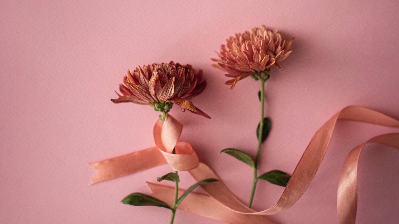 Wallpaper flowers, ribbon, pink