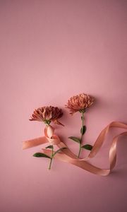 Preview wallpaper flowers, ribbon, pink