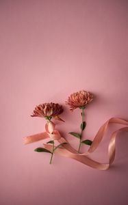 Preview wallpaper flowers, ribbon, pink