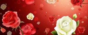 Preview wallpaper flowers, roses, background, texture