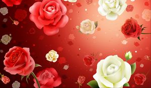 Preview wallpaper flowers, roses, background, texture