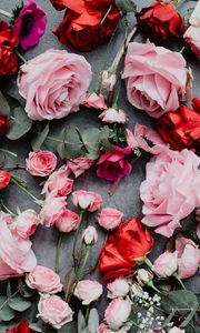 Preview wallpaper flowers, roses, composition, red, pink