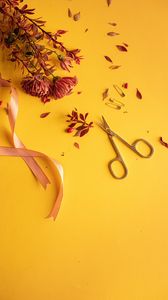 Preview wallpaper flowers, scissors, pins, ribbon
