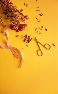 Preview wallpaper flowers, scissors, pins, ribbon