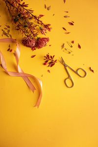 Preview wallpaper flowers, scissors, pins, ribbon