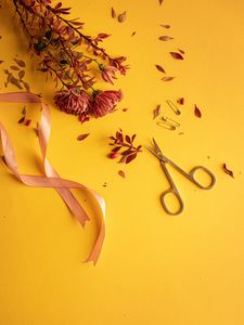 Preview wallpaper flowers, scissors, pins, ribbon