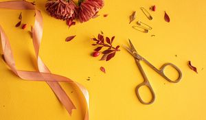Preview wallpaper flowers, scissors, pins, ribbon