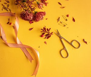 Preview wallpaper flowers, scissors, pins, ribbon