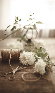 Preview wallpaper flowers, scissors, rope, floristry, aesthetics