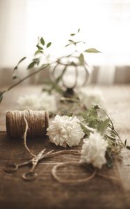 Preview wallpaper flowers, scissors, rope, floristry, aesthetics