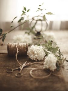 Preview wallpaper flowers, scissors, rope, floristry, aesthetics