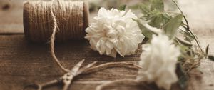 Preview wallpaper flowers, scissors, rope, floristry, aesthetics