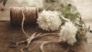 Preview wallpaper flowers, scissors, rope, floristry, aesthetics