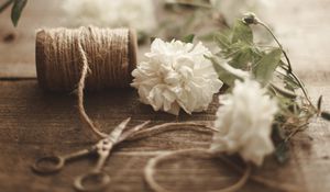 Preview wallpaper flowers, scissors, rope, floristry, aesthetics