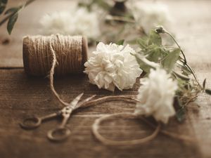 Preview wallpaper flowers, scissors, rope, floristry, aesthetics