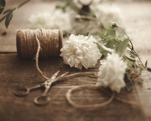 Preview wallpaper flowers, scissors, rope, floristry, aesthetics