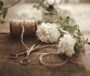 Preview wallpaper flowers, scissors, rope, floristry, aesthetics