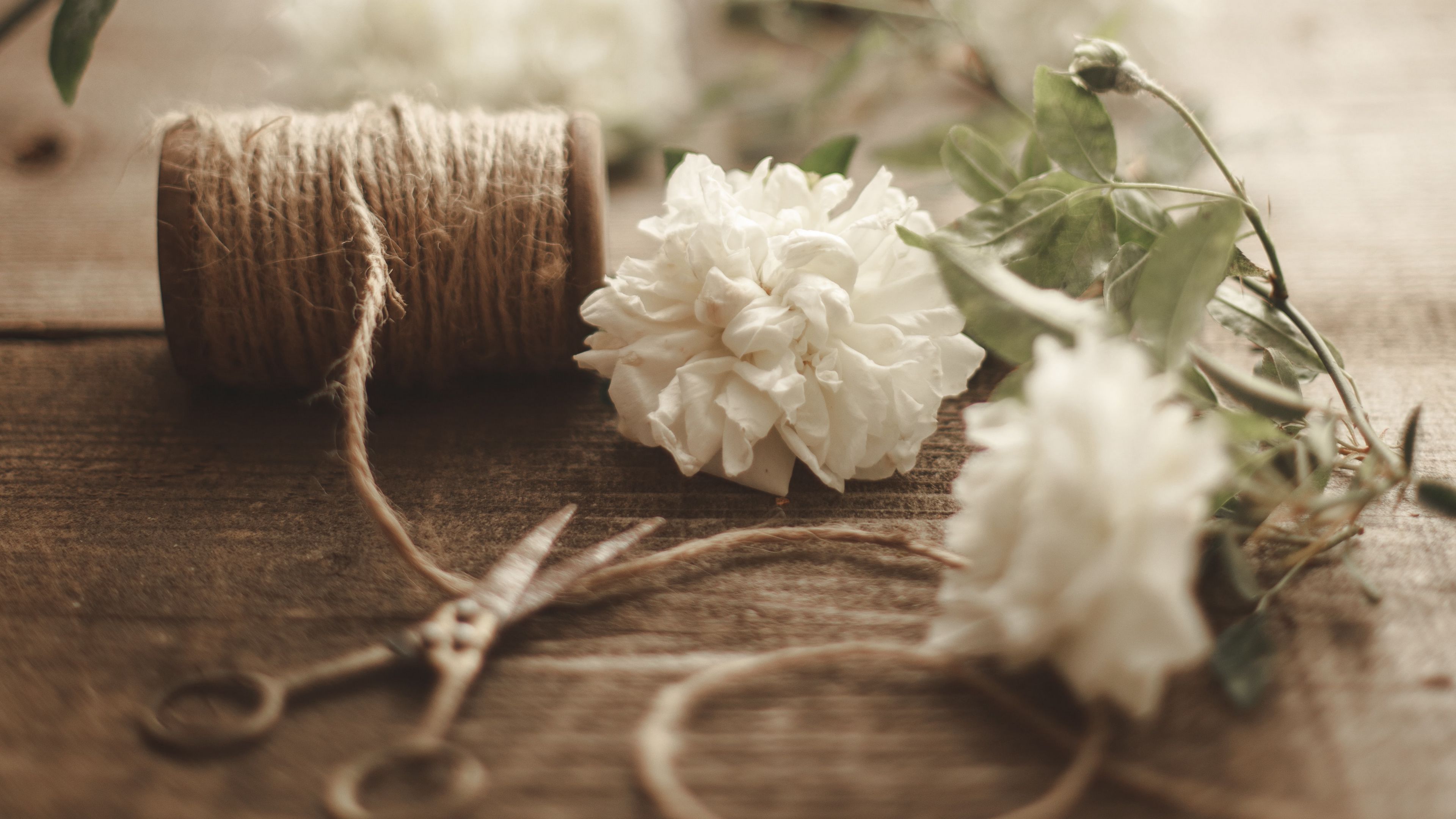3840x2160 Wallpaper flowers, scissors, rope, floristry, aesthetics
