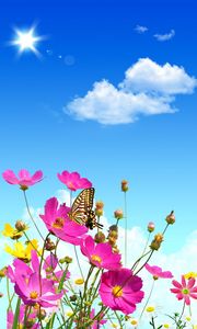 Preview wallpaper flowers, sky, butterflies, balloons