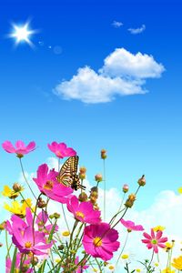 Preview wallpaper flowers, sky, butterflies, balloons