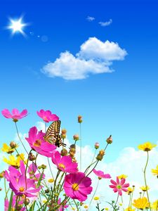 Preview wallpaper flowers, sky, butterflies, balloons