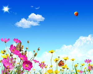 Preview wallpaper flowers, sky, butterflies, balloons