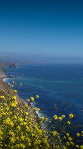 Preview wallpaper flowers, slope, mountain, sea